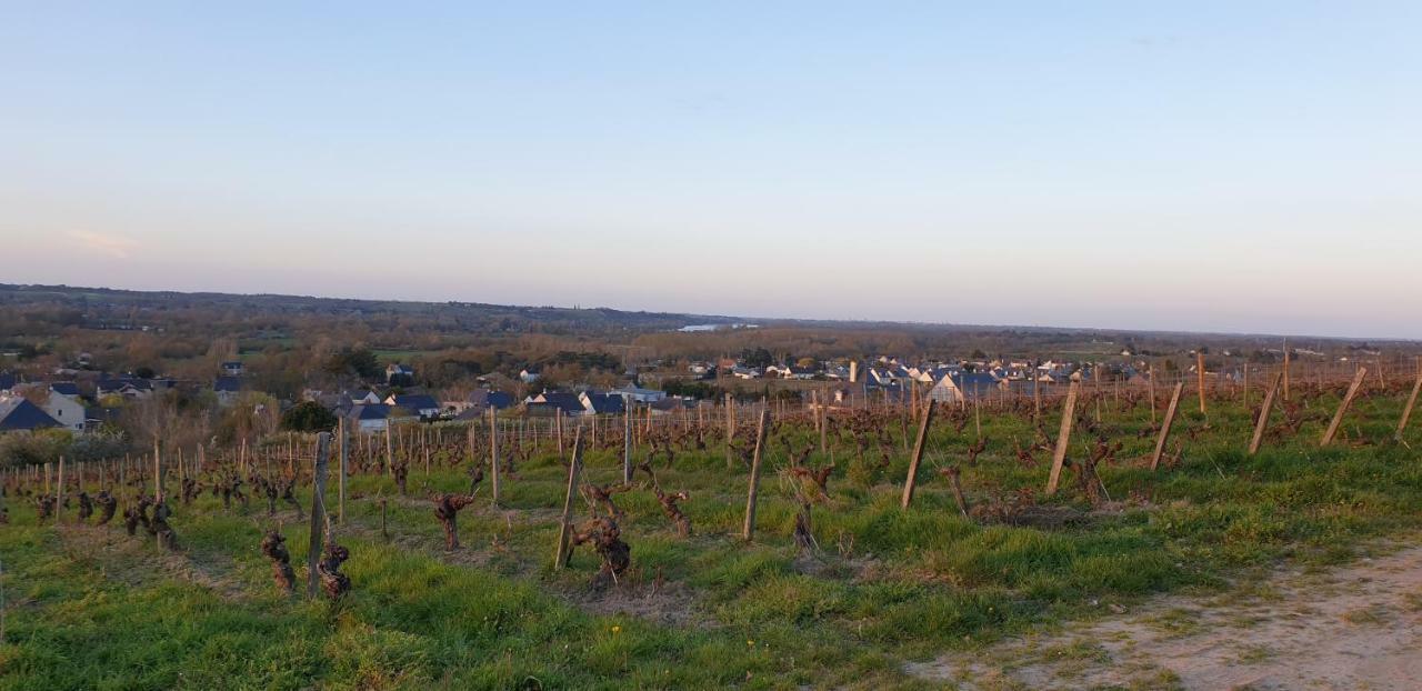 Clos Sainte Catherine Rochefort-sur-Loire Exterior photo